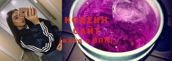 гидра Арсеньев