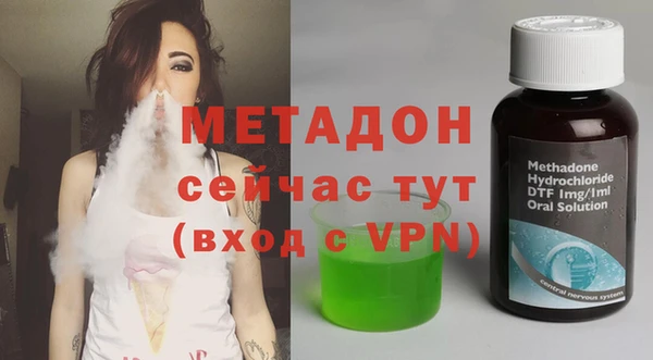 гидра Арсеньев