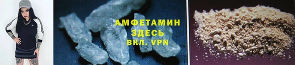молекула духа Аркадак