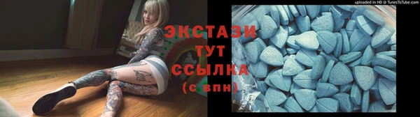 гидра Арсеньев