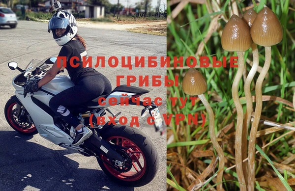 гидра Арсеньев