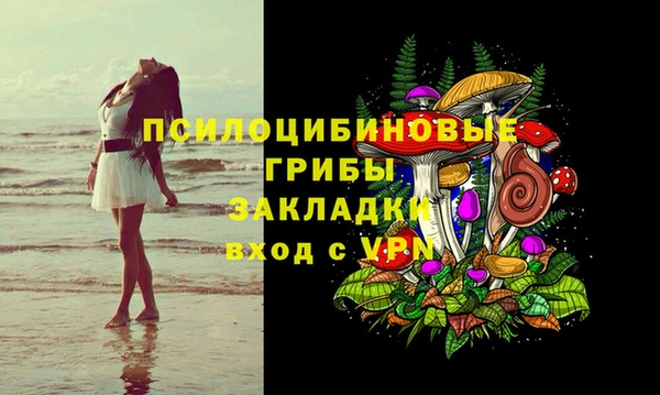 мдпв Армянск