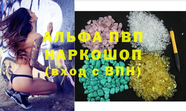 спиды Ростов