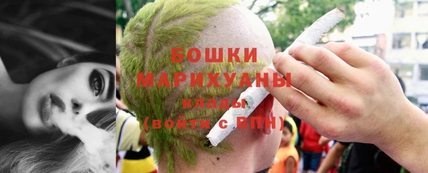 гидра Арсеньев