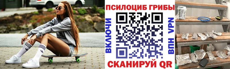 Псилоцибиновые грибы мухоморы  Гудермес 